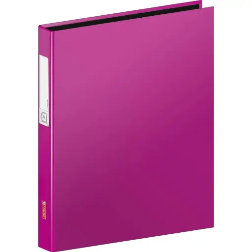 Brunnen Ringbuch A4 Uni 2-Ring pink