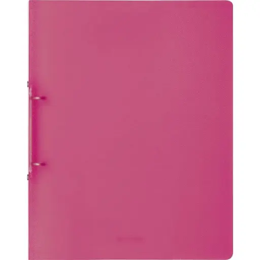 Brunnen Ringbuch A4 pink